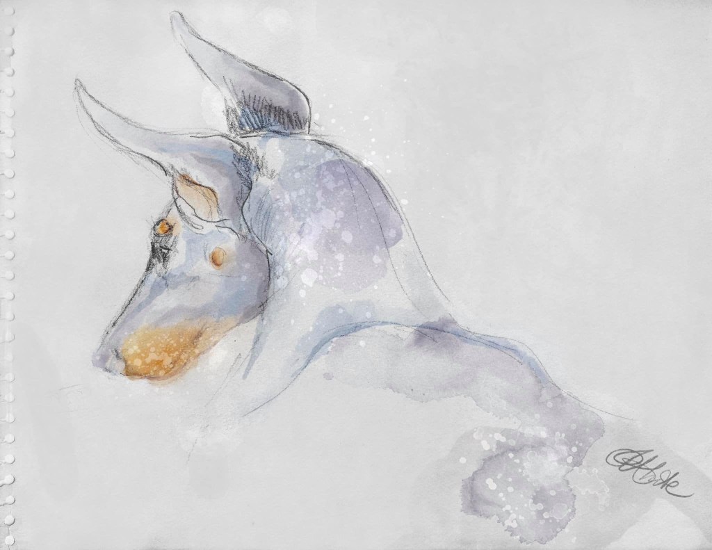 Maggie pencil sketch with watercolour wash.