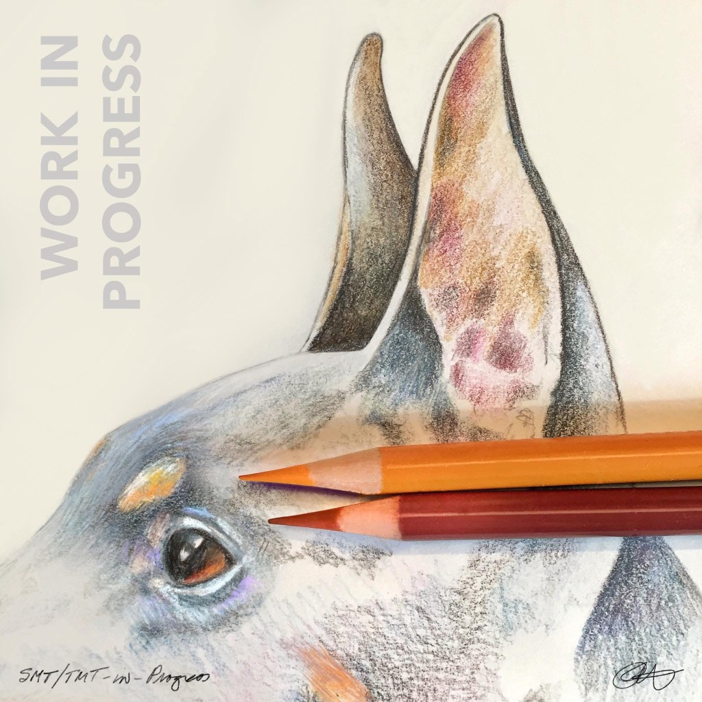 Work-in-Progress using coloured pencils 