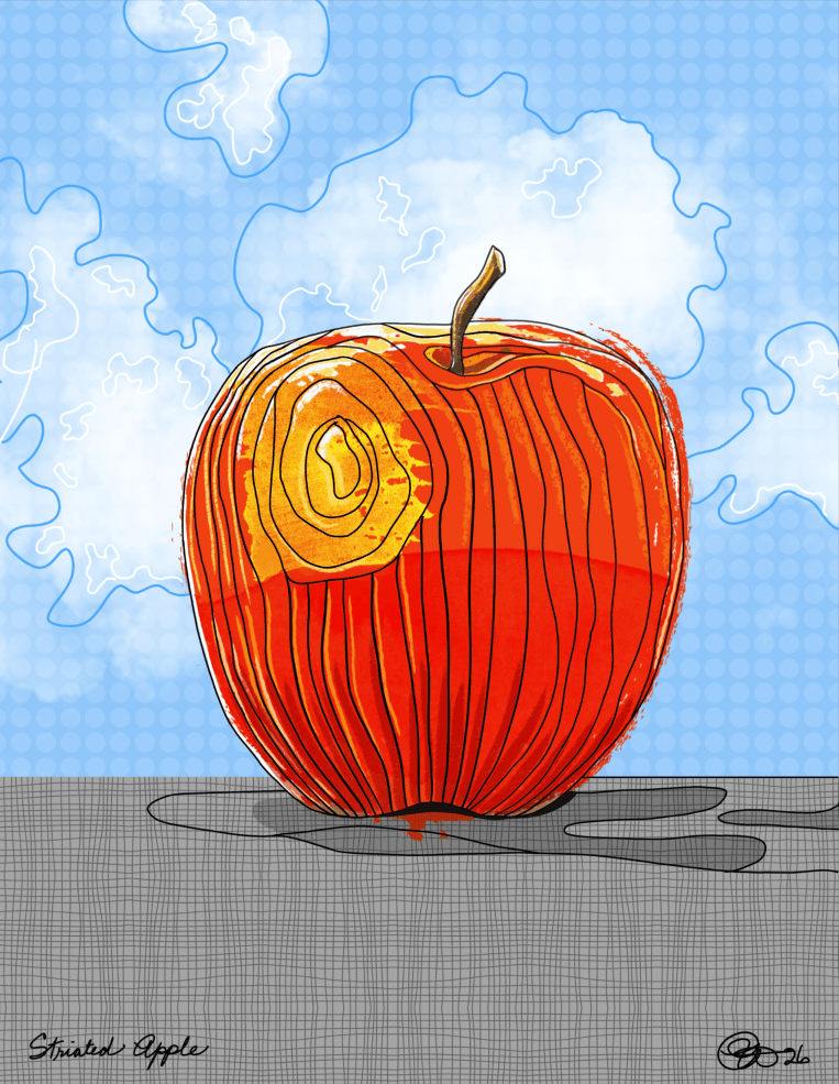 Striated Apple Drawing